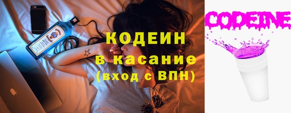 соль ск Ельня