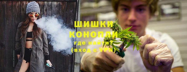 соль ск Ельня