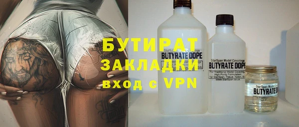 соль ск Ельня