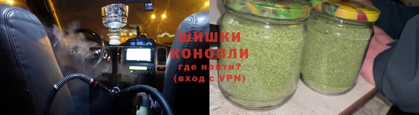 соль ск Ельня