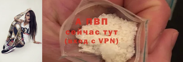 СК Елабуга