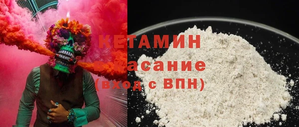 соль ск Ельня