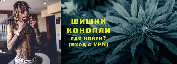 соль ск Ельня