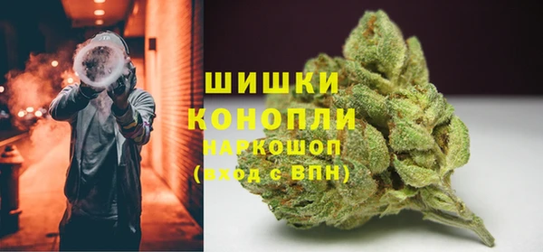 ГАЛЛЮЦИНОГЕННЫЕ ГРИБЫ Елизово