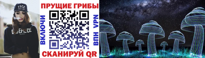 Галлюциногенные грибы мицелий  Купить где  Темрюк 